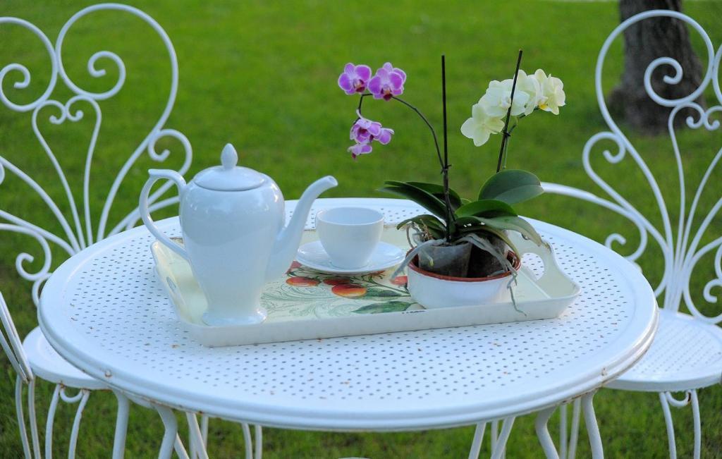 Il Giardino Del Te Ξενοδοχείο Μπαρλέτα Εξωτερικό φωτογραφία