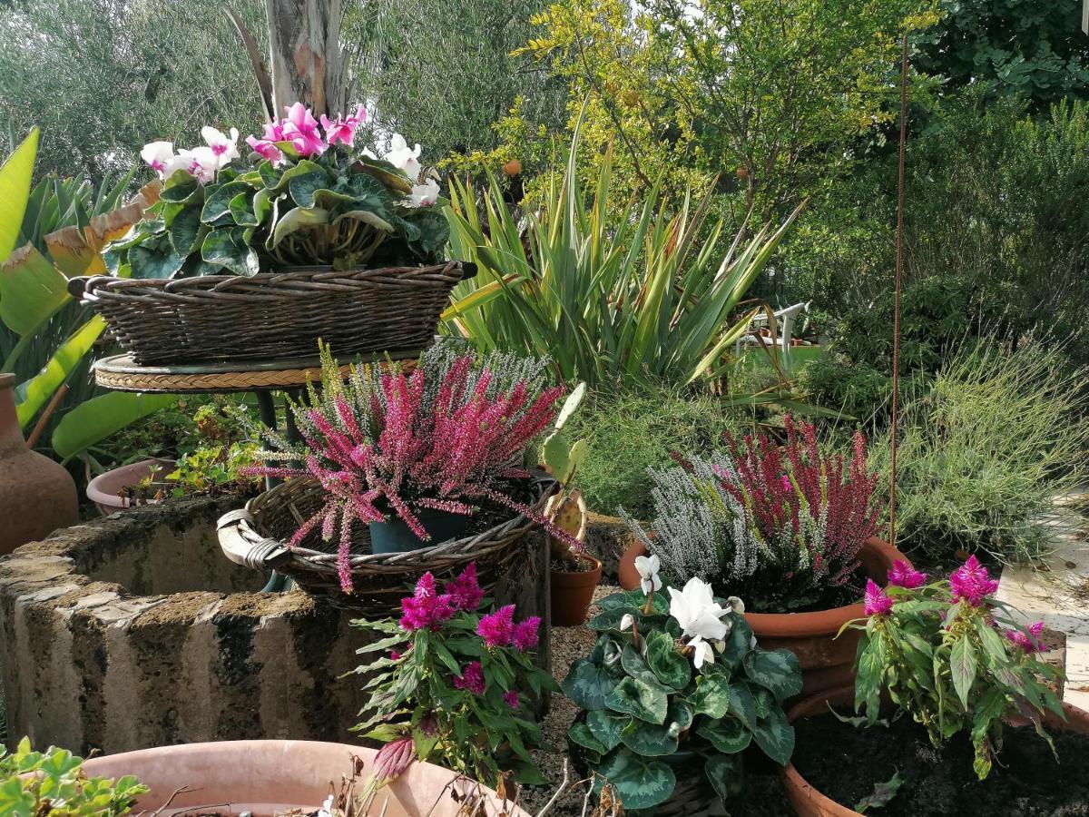 Il Giardino Del Te Ξενοδοχείο Μπαρλέτα Εξωτερικό φωτογραφία