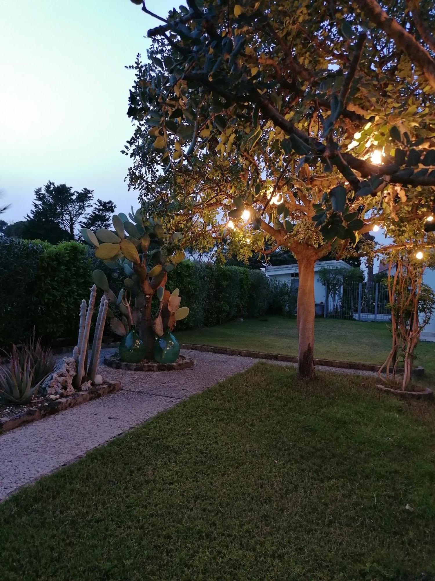 Il Giardino Del Te Ξενοδοχείο Μπαρλέτα Εξωτερικό φωτογραφία