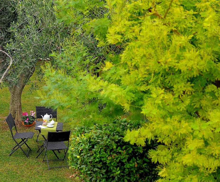 Il Giardino Del Te Ξενοδοχείο Μπαρλέτα Εξωτερικό φωτογραφία
