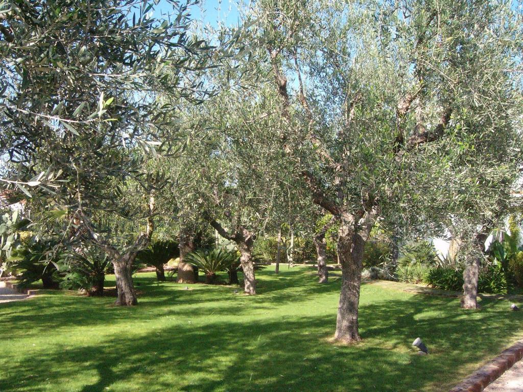 Il Giardino Del Te Ξενοδοχείο Μπαρλέτα Εξωτερικό φωτογραφία
