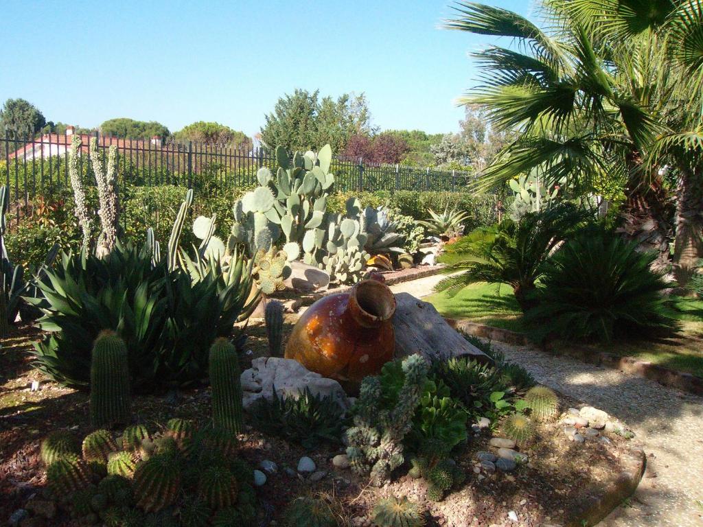 Il Giardino Del Te Ξενοδοχείο Μπαρλέτα Εξωτερικό φωτογραφία
