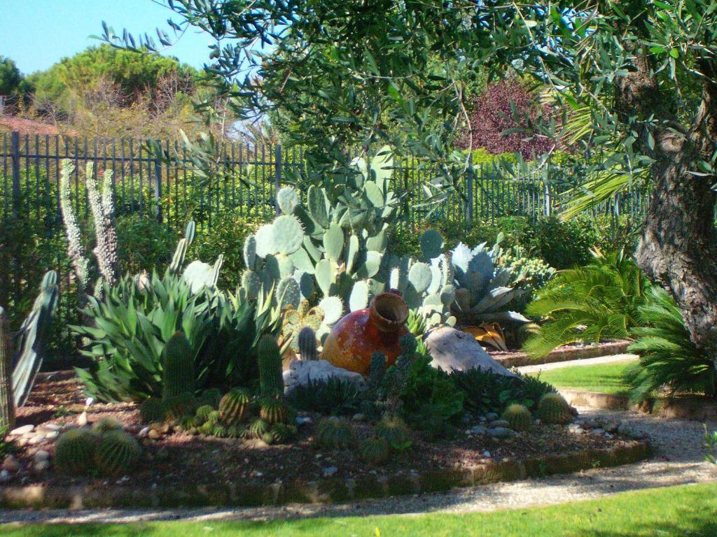 Il Giardino Del Te Ξενοδοχείο Μπαρλέτα Εξωτερικό φωτογραφία