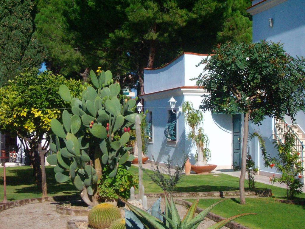 Il Giardino Del Te Ξενοδοχείο Μπαρλέτα Εξωτερικό φωτογραφία