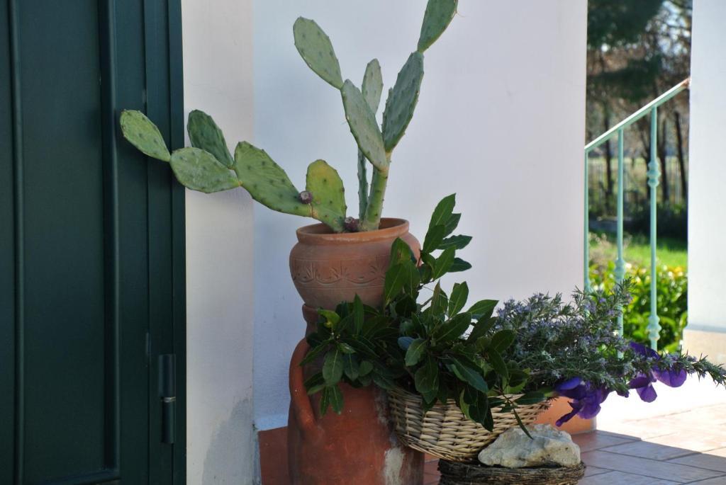 Il Giardino Del Te Ξενοδοχείο Μπαρλέτα Δωμάτιο φωτογραφία