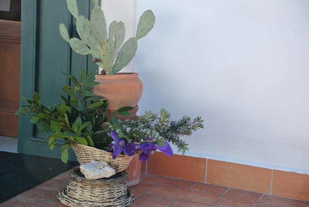 Il Giardino Del Te Ξενοδοχείο Μπαρλέτα Εξωτερικό φωτογραφία